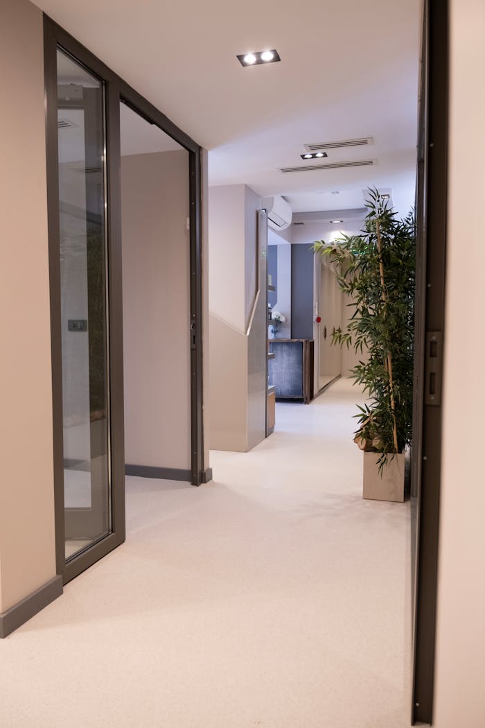 A sleek and contemporary clinic corridor featuring glass doors and potted plants.